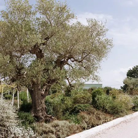 Tenuta Del Lauro Resort